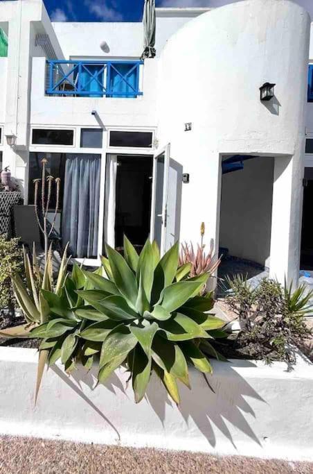 17 Puerto Del Carmen Blueshark Apartment Екстериор снимка